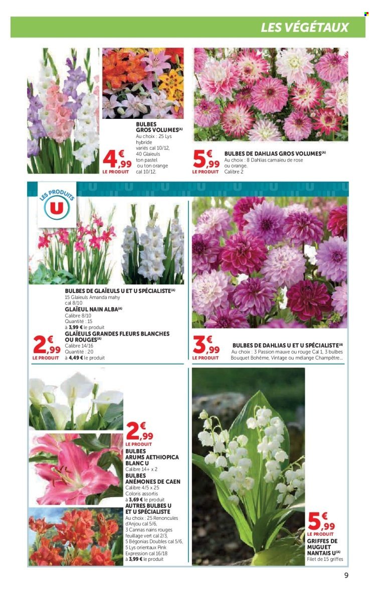 Catalogue HYPER U - Le jardin à prix bas