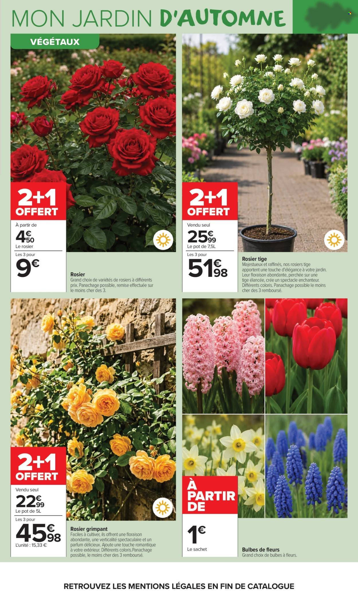 Catalogue CARREFOUR MARKET - LÀ OU LA VIE SE CULTIVE