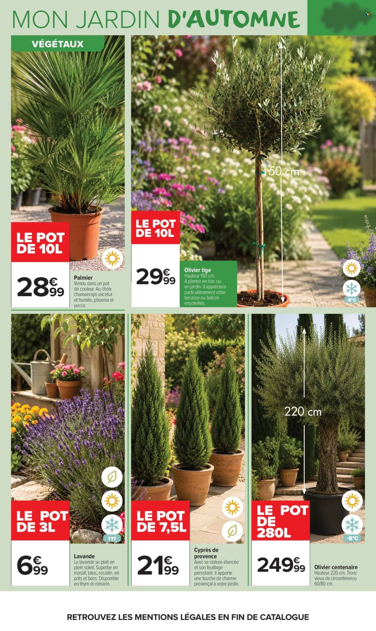 Catalogue CARREFOUR MARKET - LÀ OU LA VIE SE CULTIVE