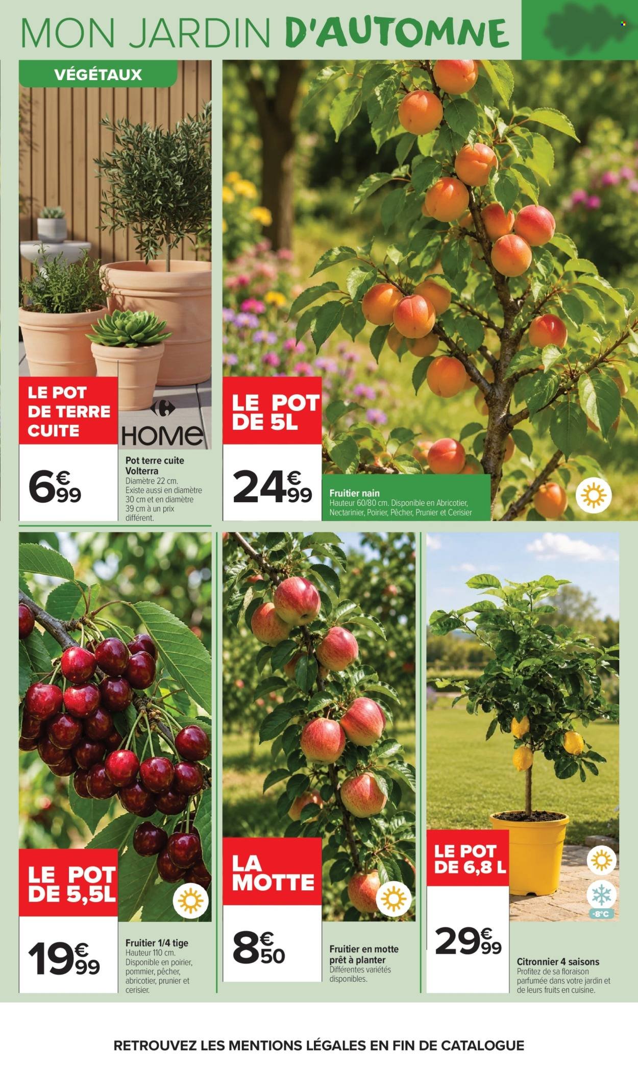 Catalogue CARREFOUR MARKET - LÀ OU LA VIE SE CULTIVE
