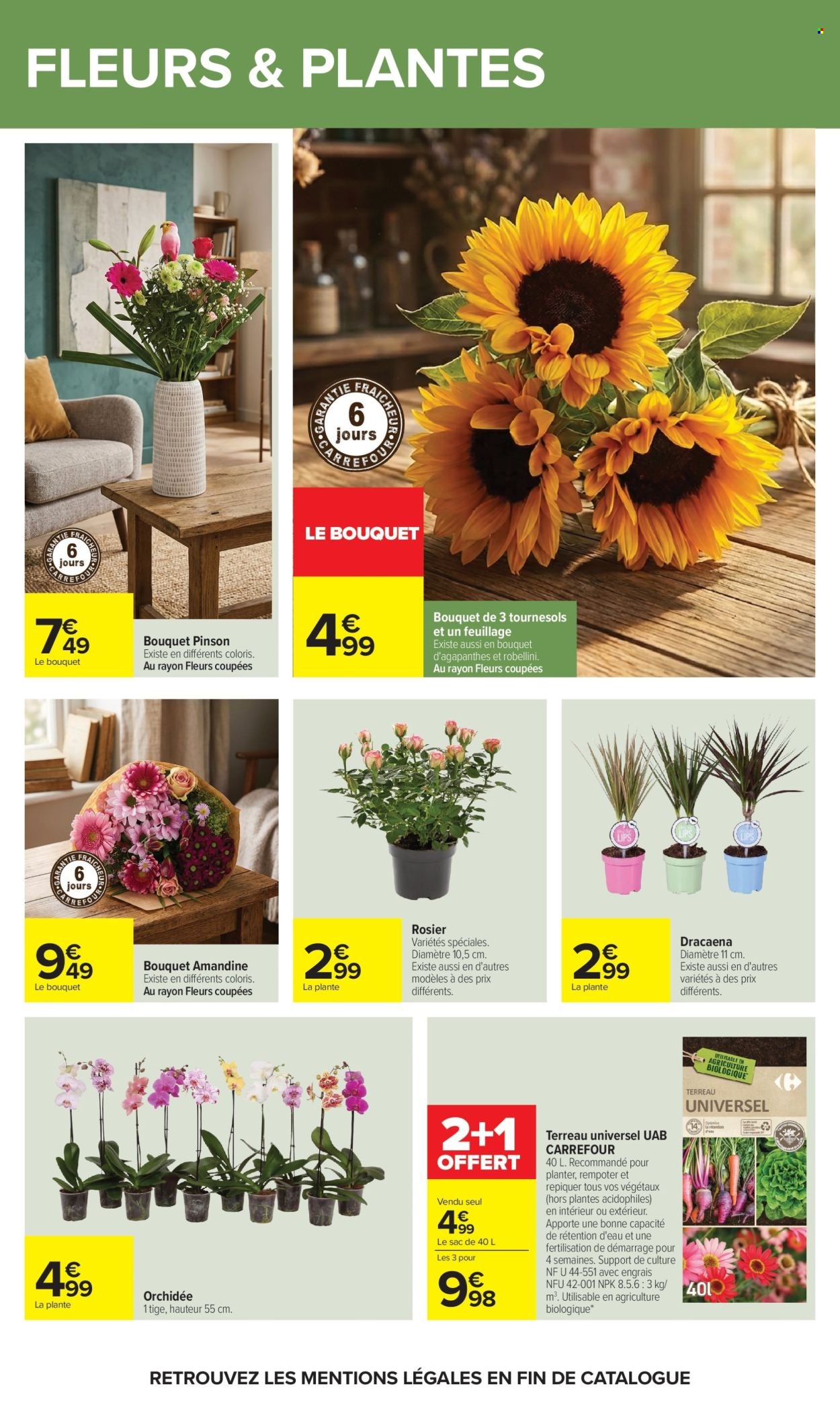 Catalogue CARREFOUR - LES COCKTAILS
