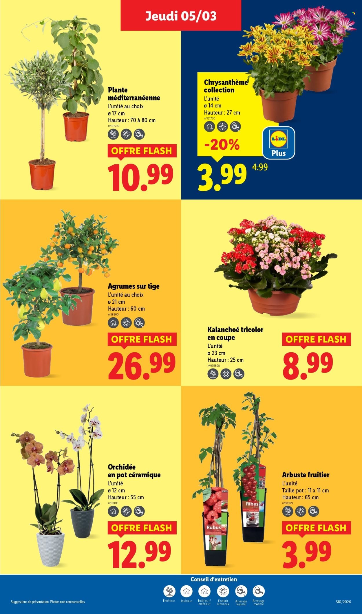 Catalogue LIDL - Les promos de la semaine (2026-03-05 - 2026-03-11)