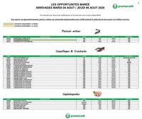 Catalogue PROMOCASH - Offre marée