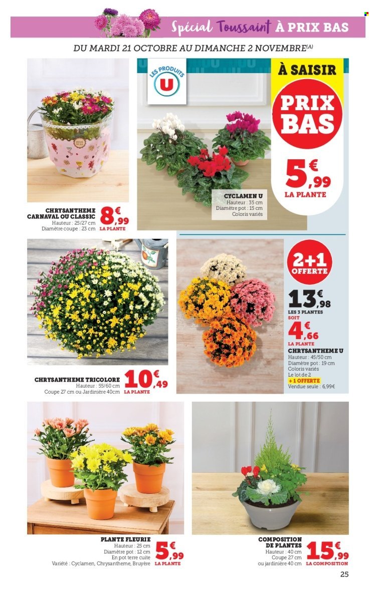Catalogue SUPER U - Les prix bas de la semaine (2025-10-21 - 2025-11-02)