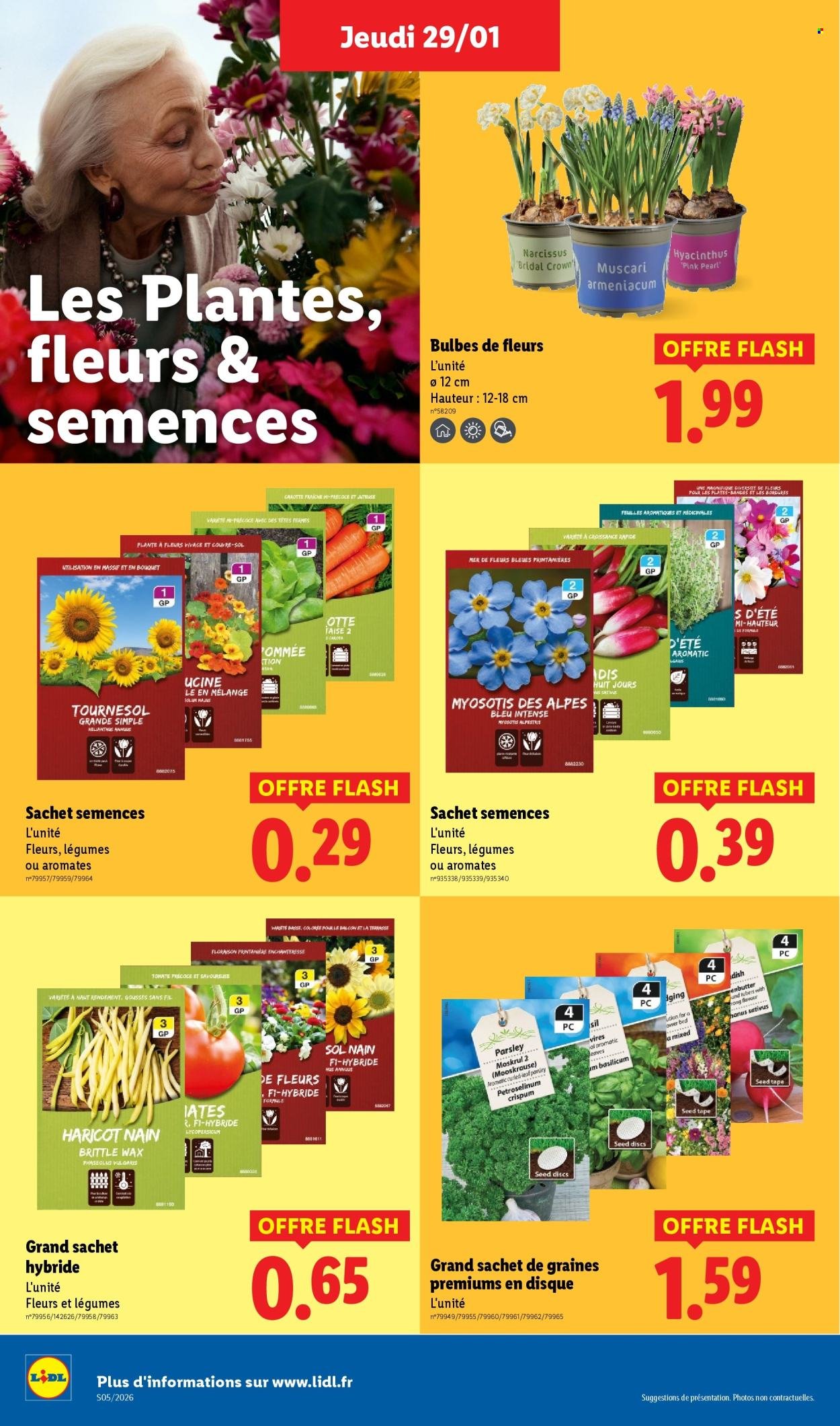 Catalogue LIDL - Les promos de la semaine