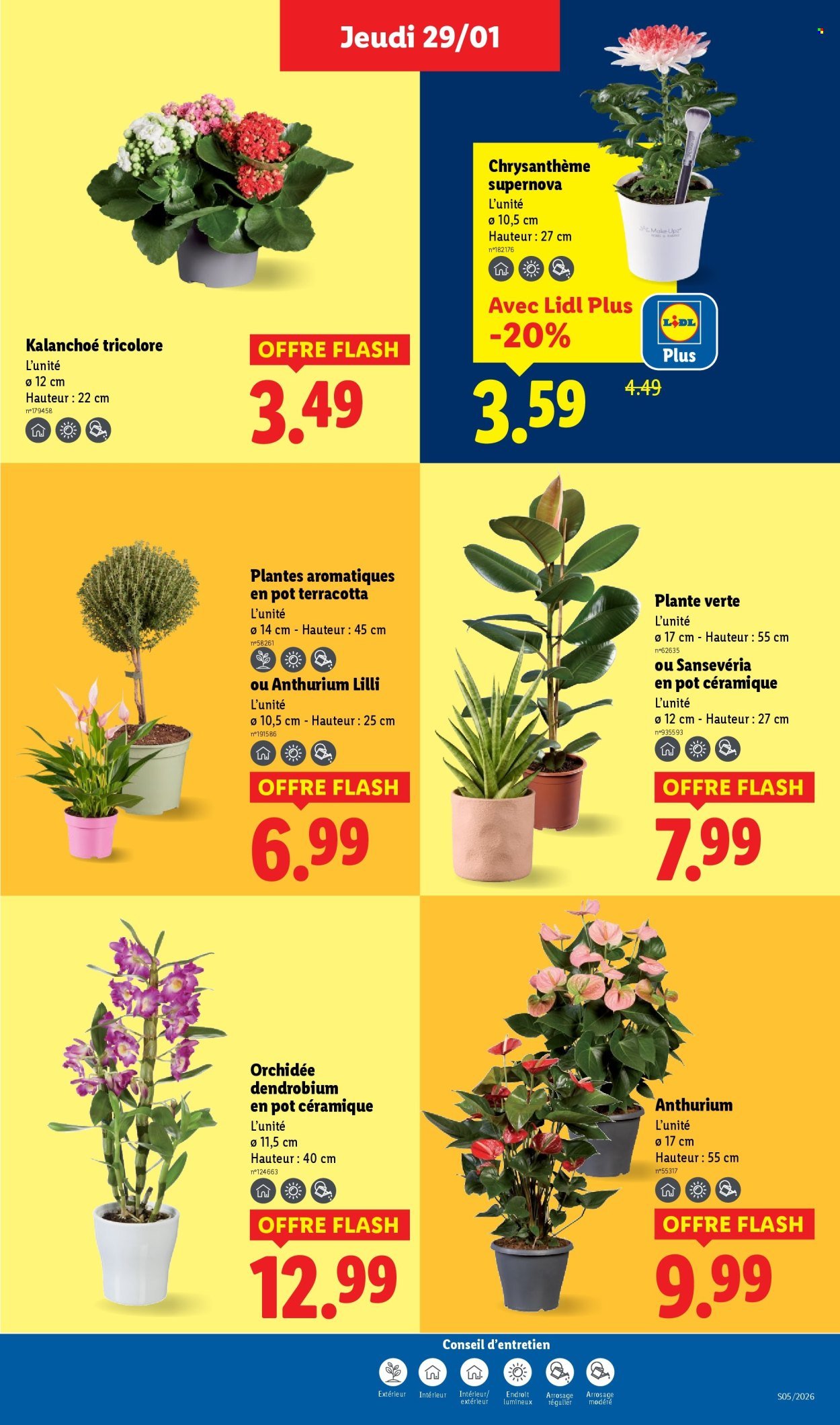 Catalogue LIDL - Les promos de la semaine