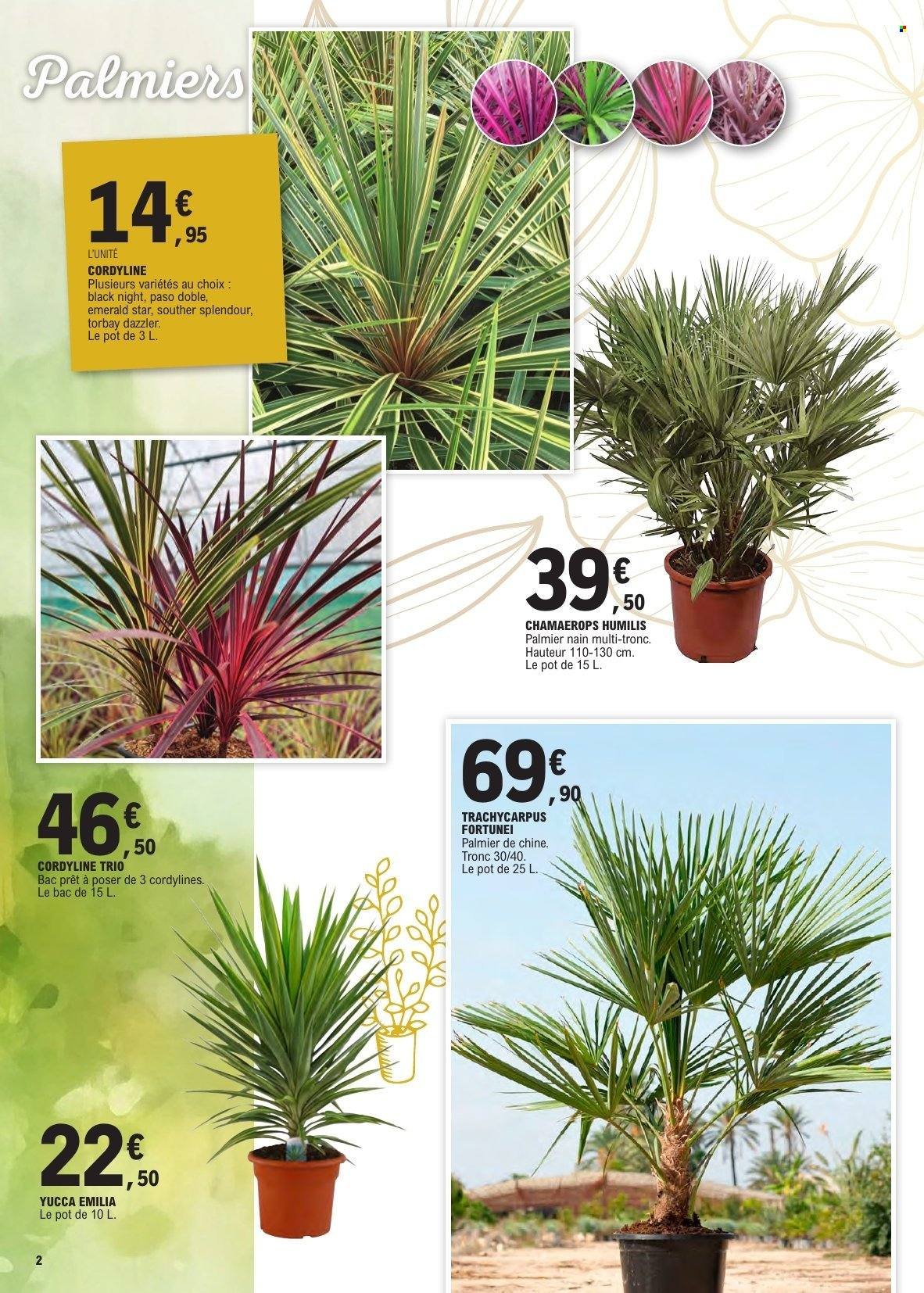 Catalogue E.LECLERC - Jardin