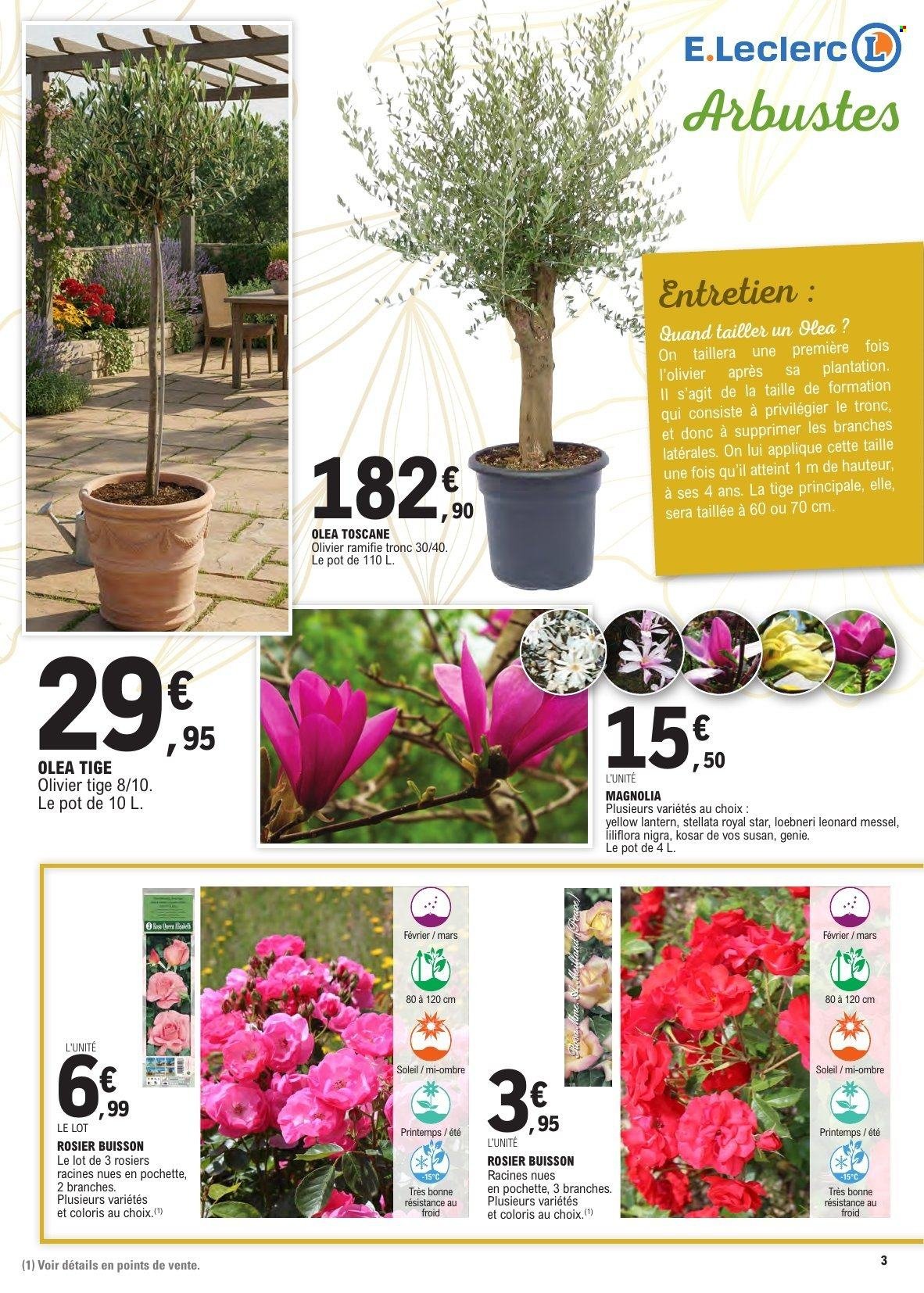 Catalogue E.LECLERC - Jardin (2026-03-10 - 2026-03-21)