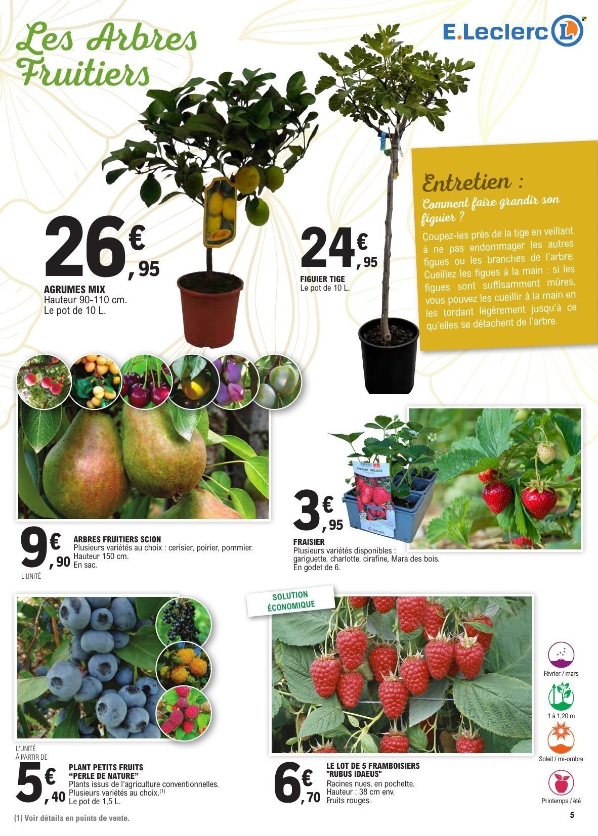 Catalogue E.LECLERC - Jardin (2026-03-10 - 2026-03-21)