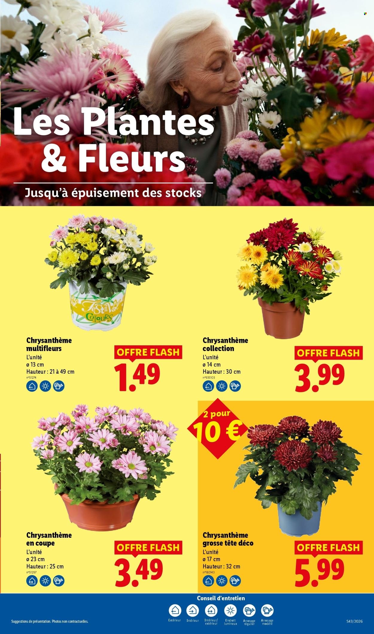 Catalogue LIDL - Les promos de la semaine