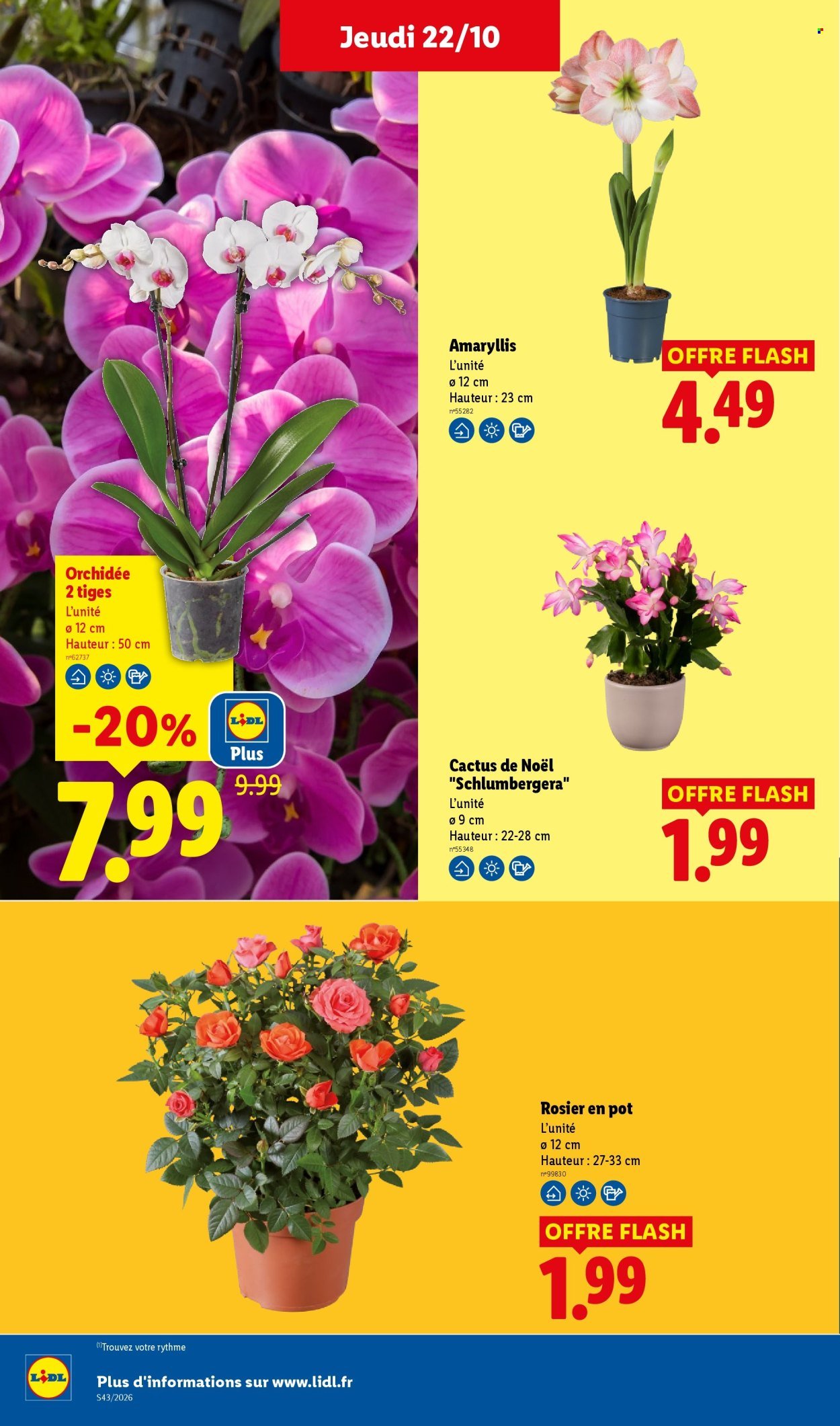 Catalogue LIDL - Les promos de la semaine