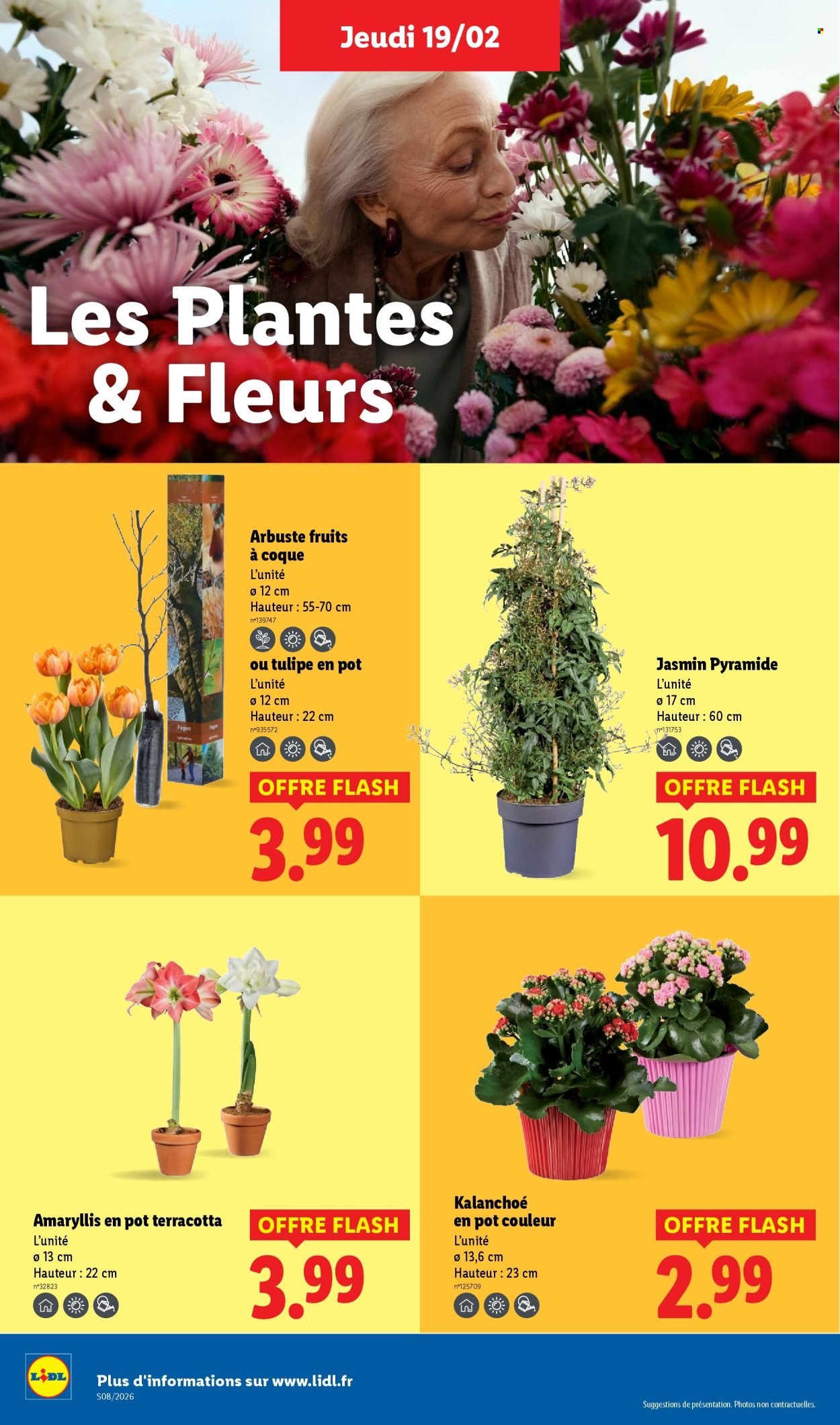 Catalogue LIDL - Les promos de la semaine (2026-02-19 - 2026-02-25)