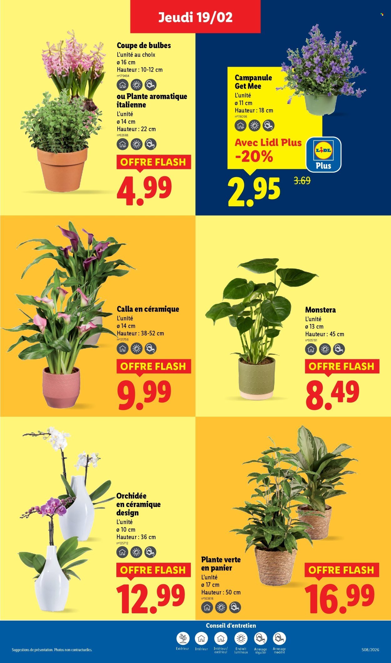 Catalogue LIDL - Les promos de la semaine (2026-02-19 - 2026-02-25)