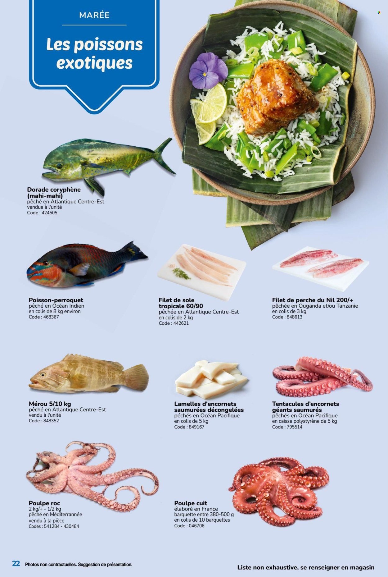 Catalogue PROMOCASH - GUIDE RESTAURATION TRADITIONNELLE