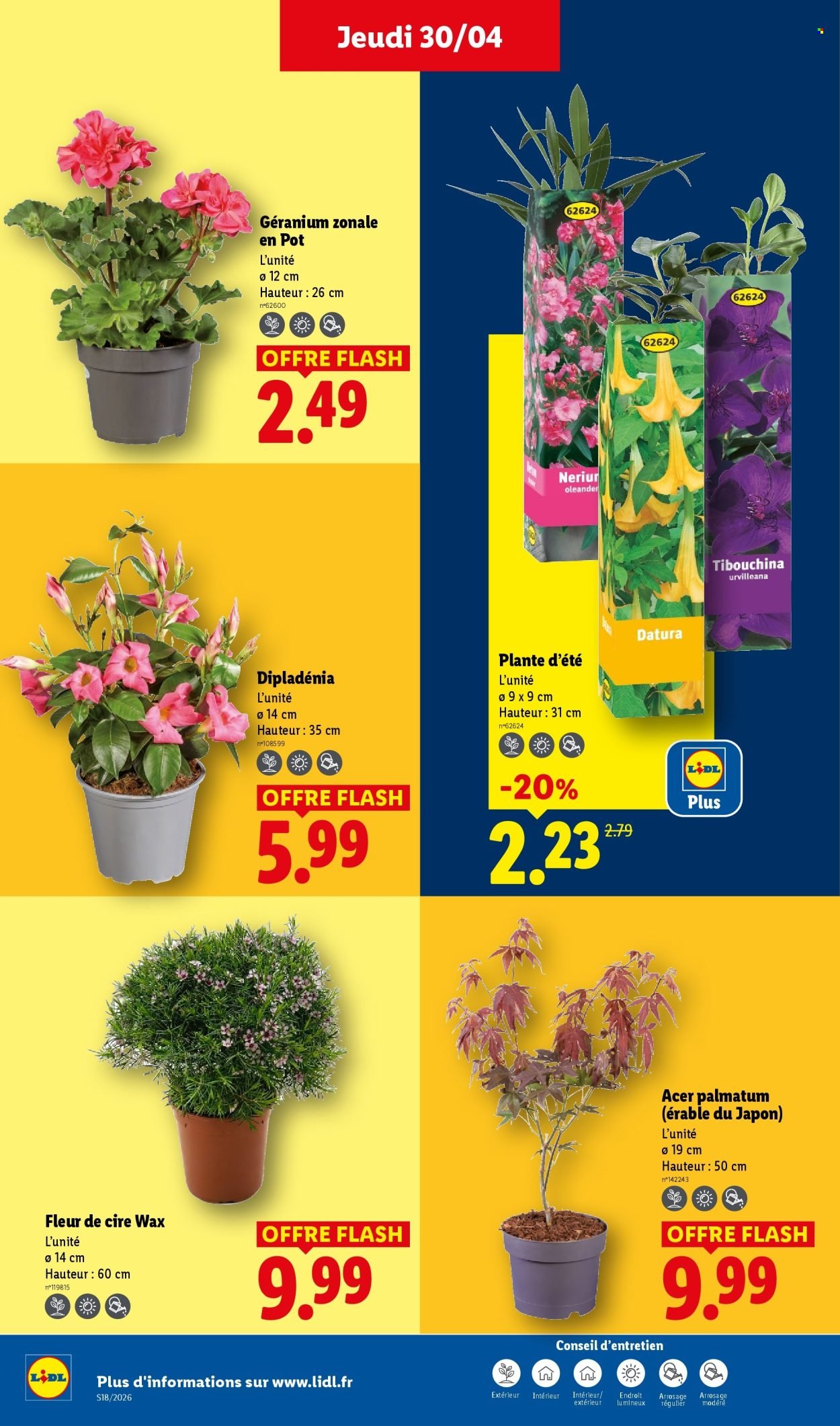 Catalogue LIDL - Les promos de la semaine (2026-04-30 - 2026-05-06)