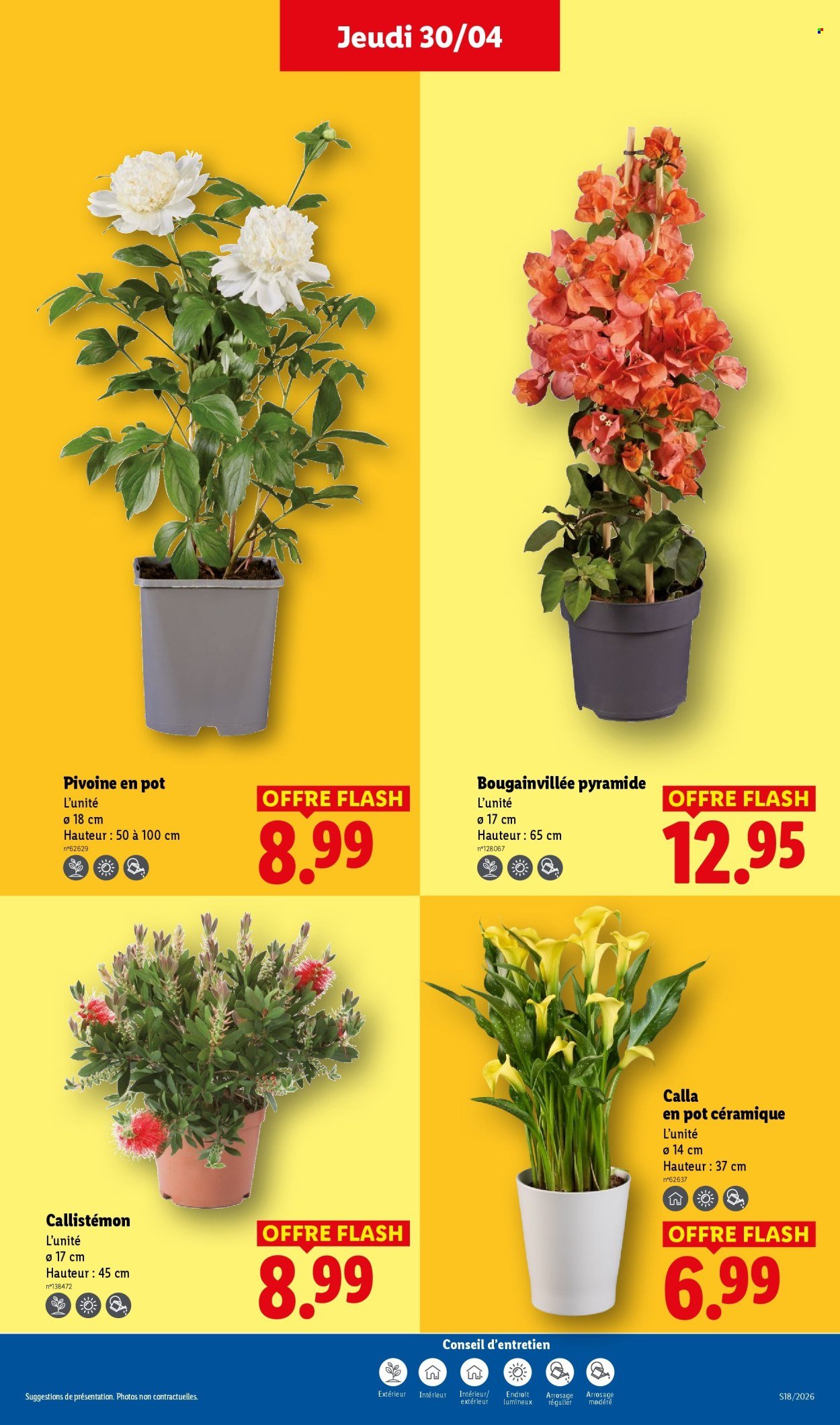 Catalogue LIDL - Les promos de la semaine (2026-04-30 - 2026-05-06)