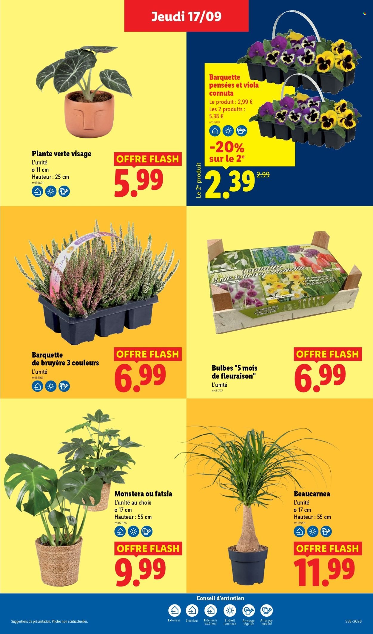 Catalogue LIDL - Les promos de la semaine