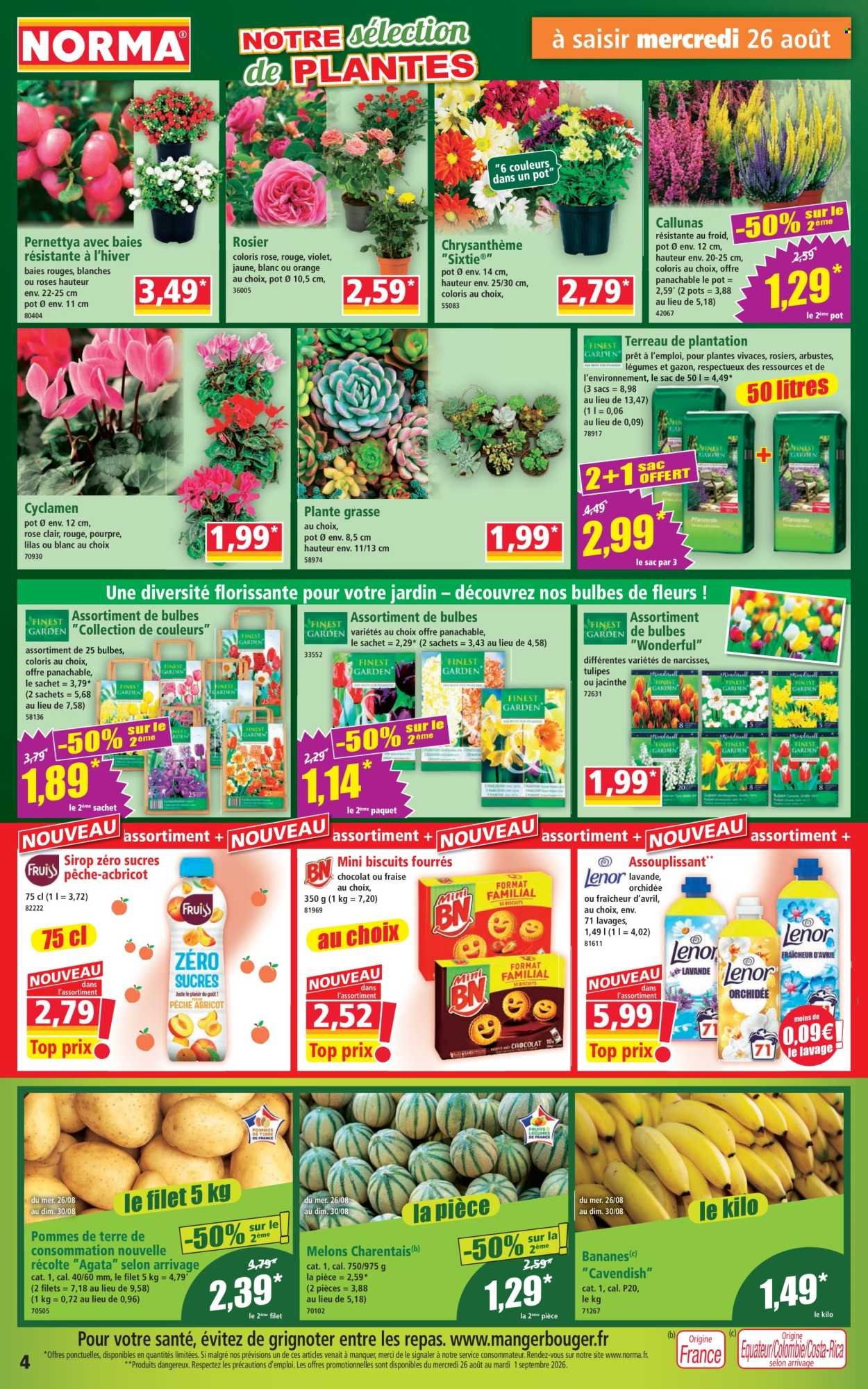 Catalogue NORMA - Du mercredi 26 août 2026