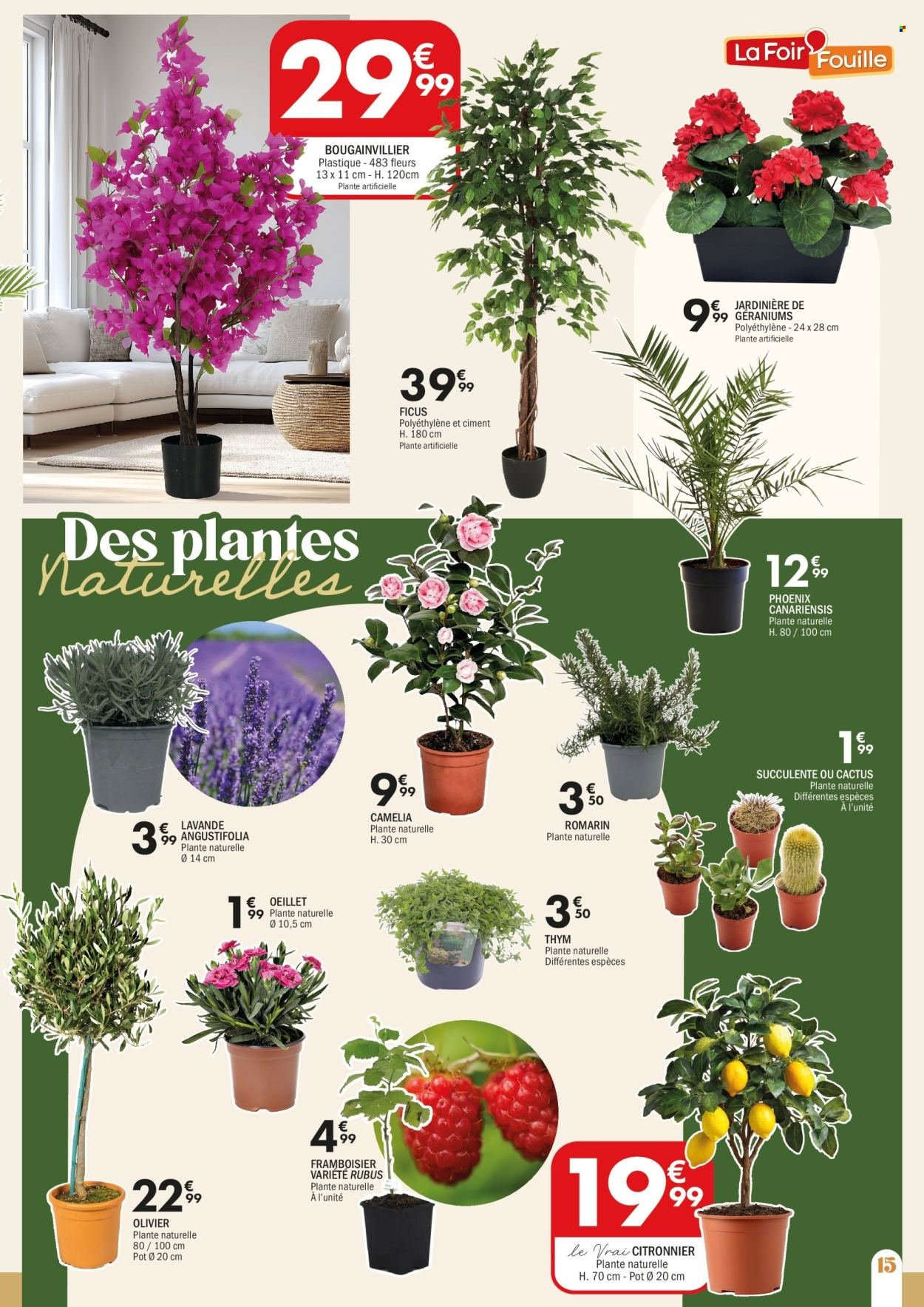 Catalogue LA FOIR'FOUILLE - Du lundi 16 février 2026