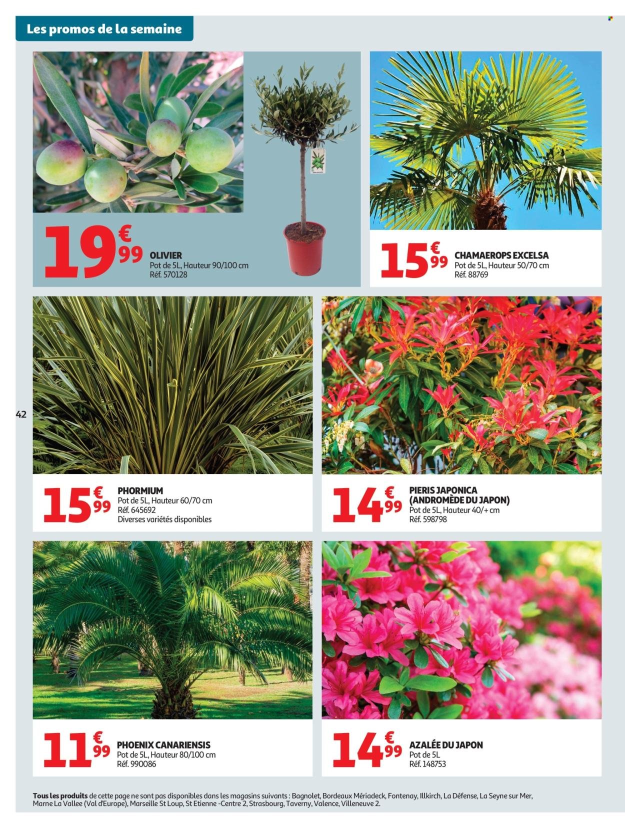 Catalogue AUCHAN - 25 jours Auchan hypers (2026-04-21 - 2026-05-03)
