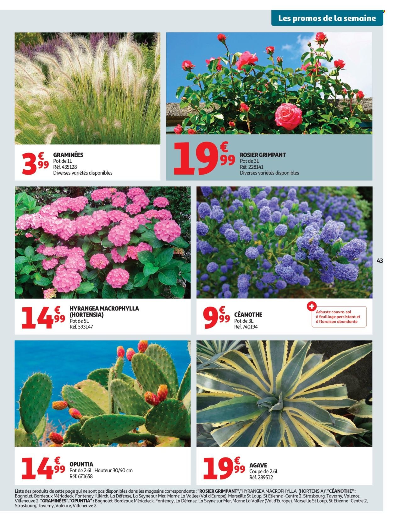 Catalogue AUCHAN - 25 jours Auchan hypers (2026-04-21 - 2026-05-03)