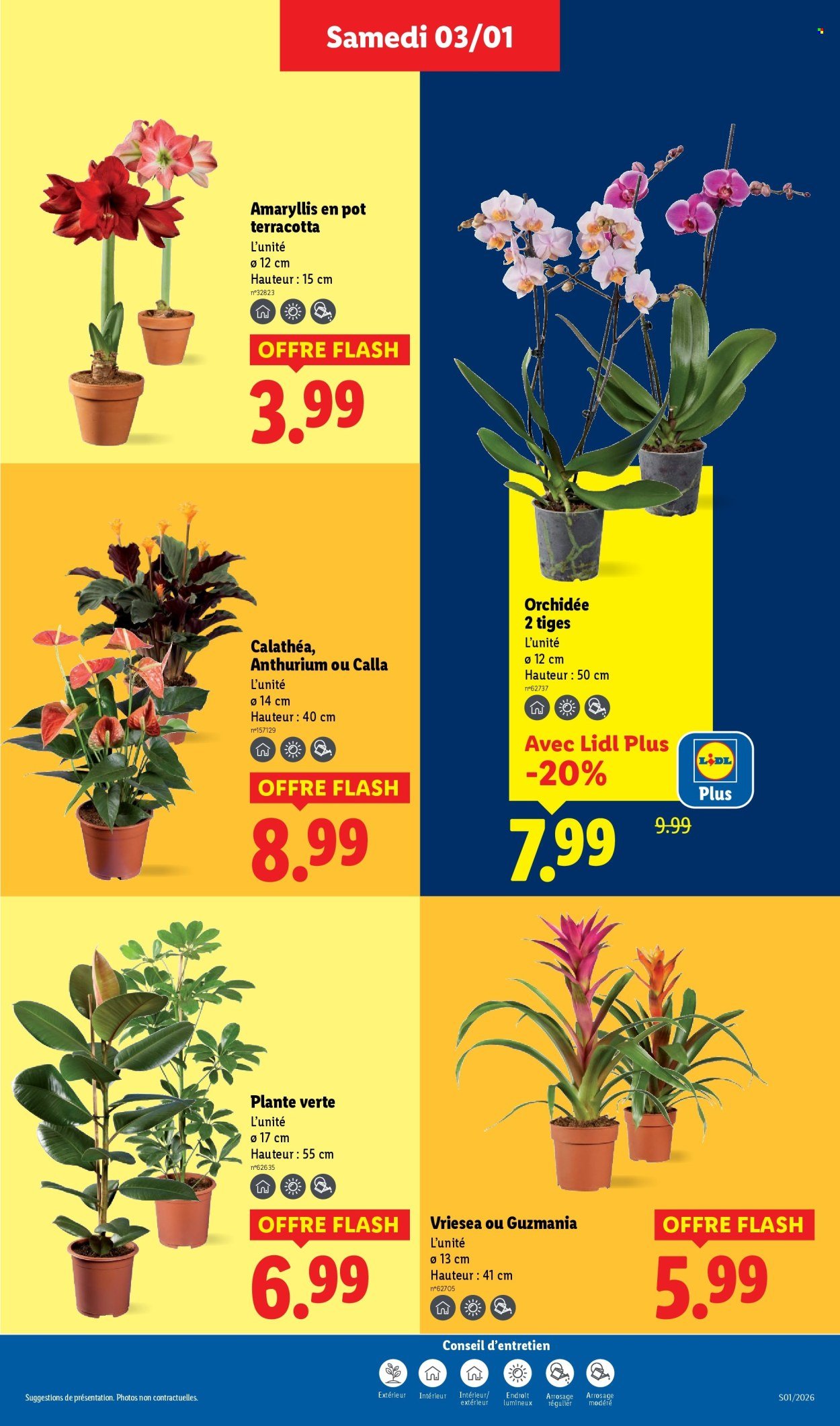 Catalogue LIDL - Les promos de la semaine (2026-01-03 - 2026-01-07)