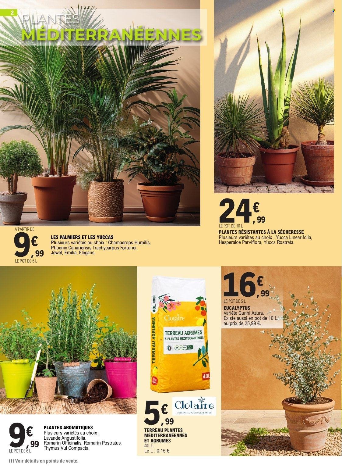 Catalogue E.LECLERC - PLANTATIONS PRINTEMPS GSA/GSS