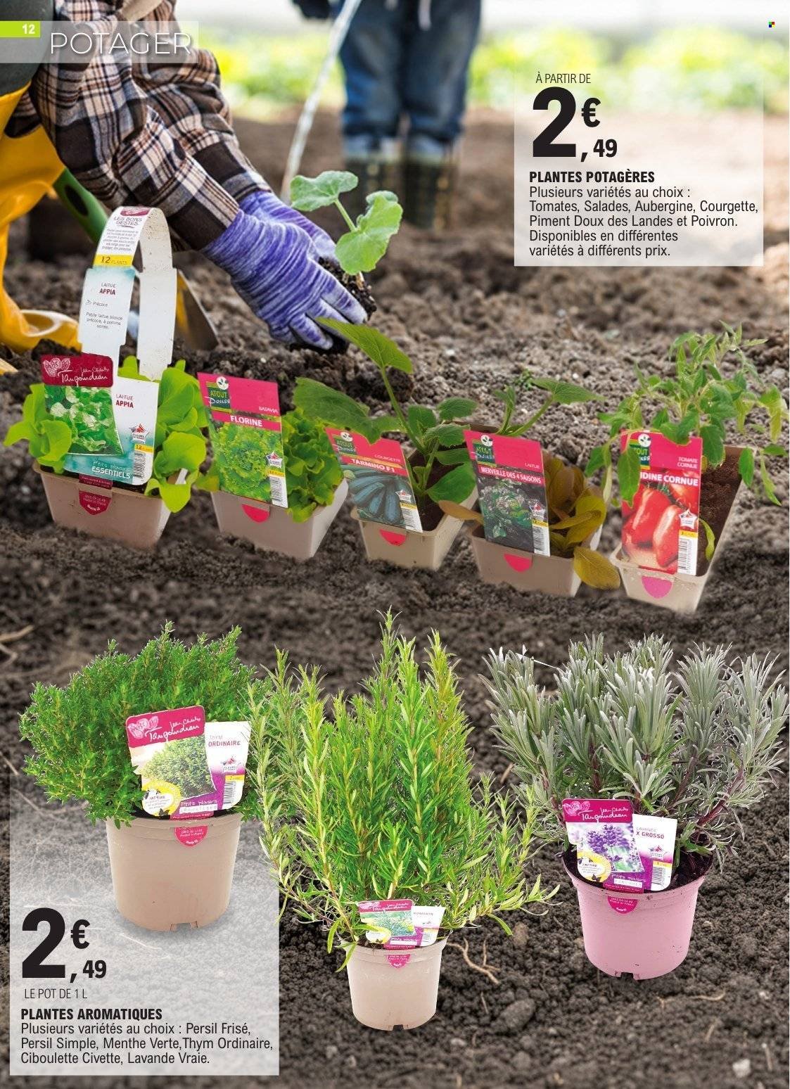 Catalogue E.LECLERC - PLANTATIONS PRINTEMPS GSA/GSS (2026-03-10 - 2026-03-21)