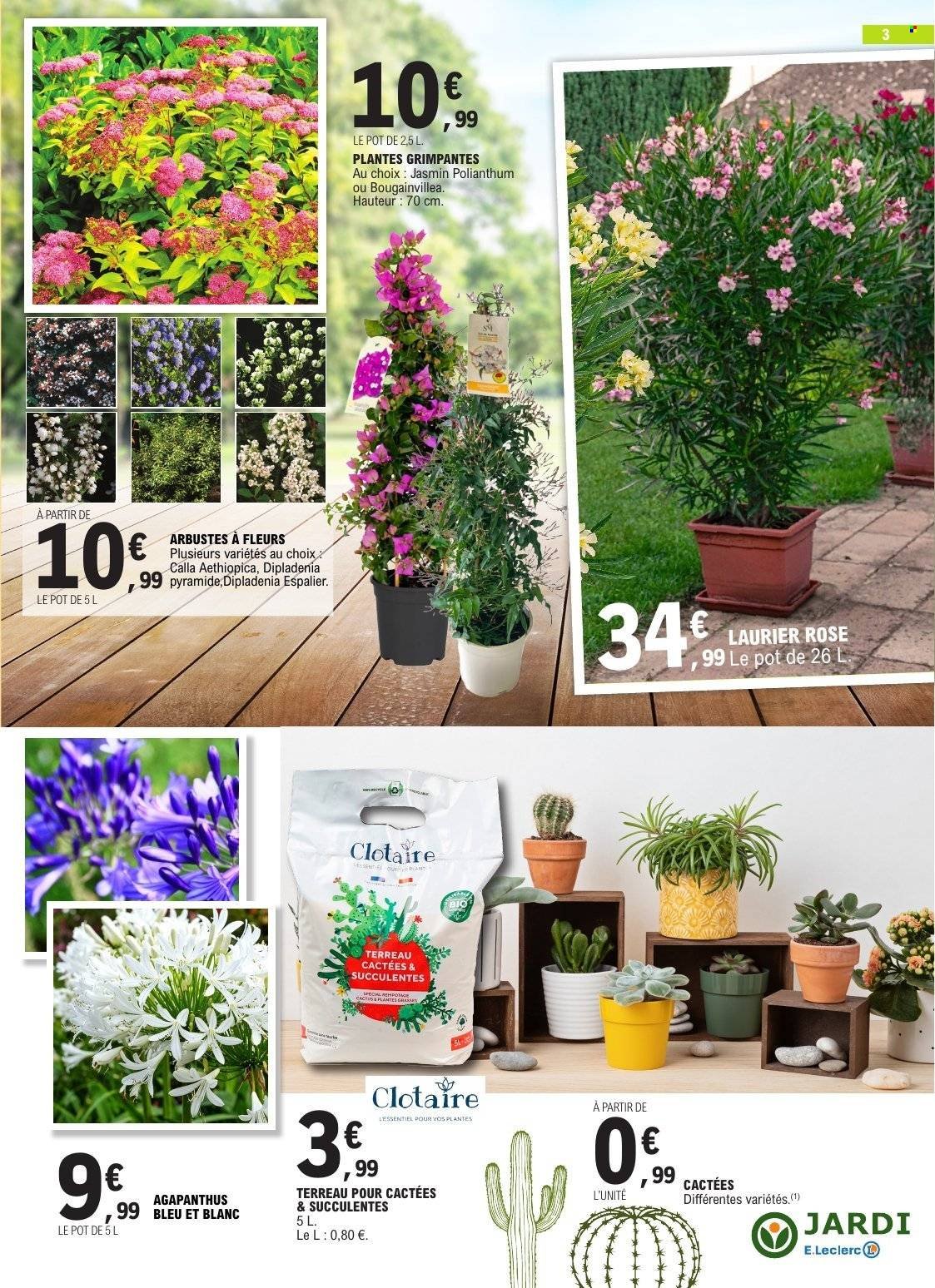 Catalogue E.LECLERC - PLANTATIONS PRINTEMPS GSA/GSS (2026-03-10 - 2026-03-21)