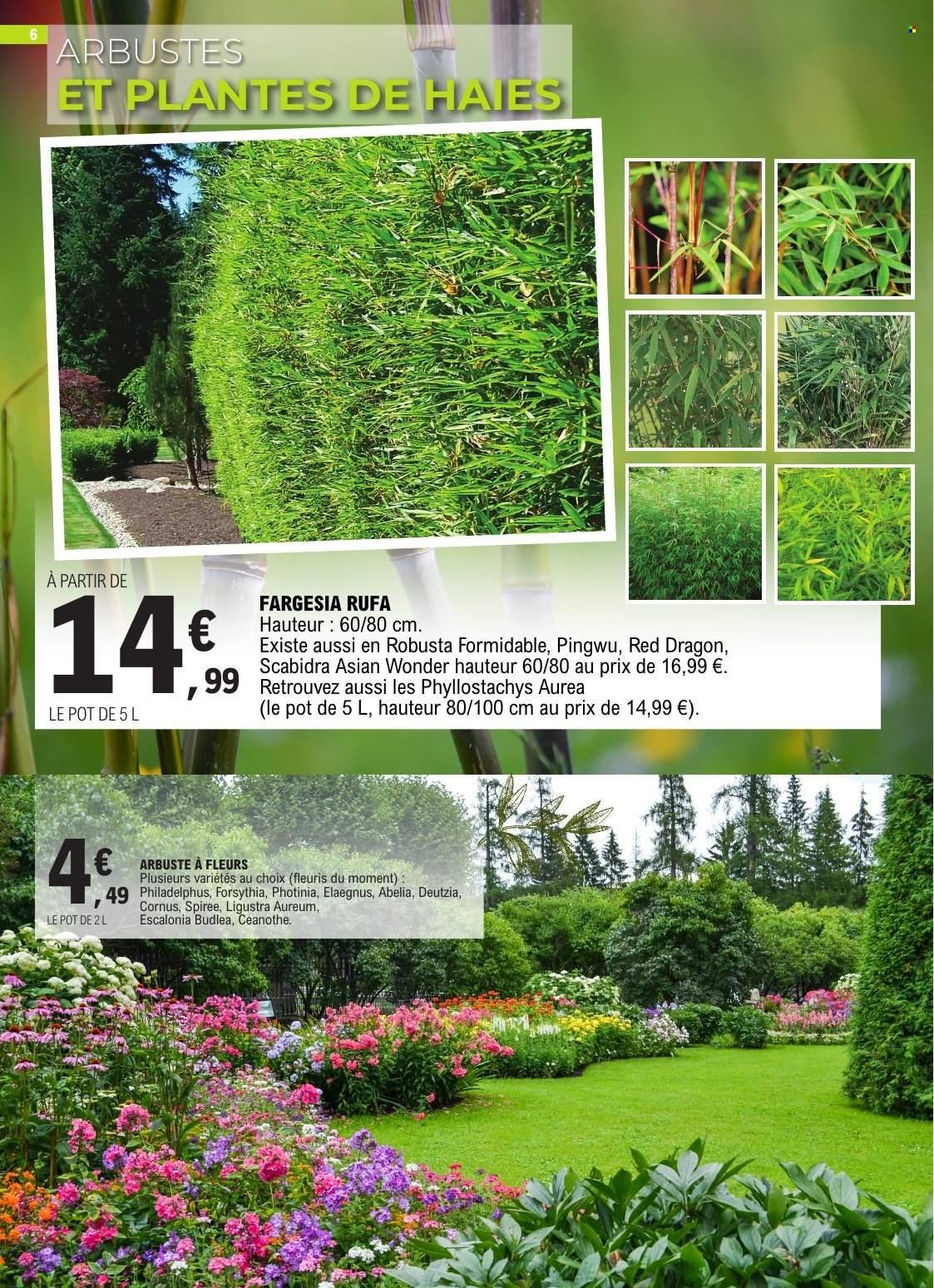 Catalogue E.LECLERC - PLANTATIONS PRINTEMPS GSA/GSS (2026-03-10 - 2026-03-21)