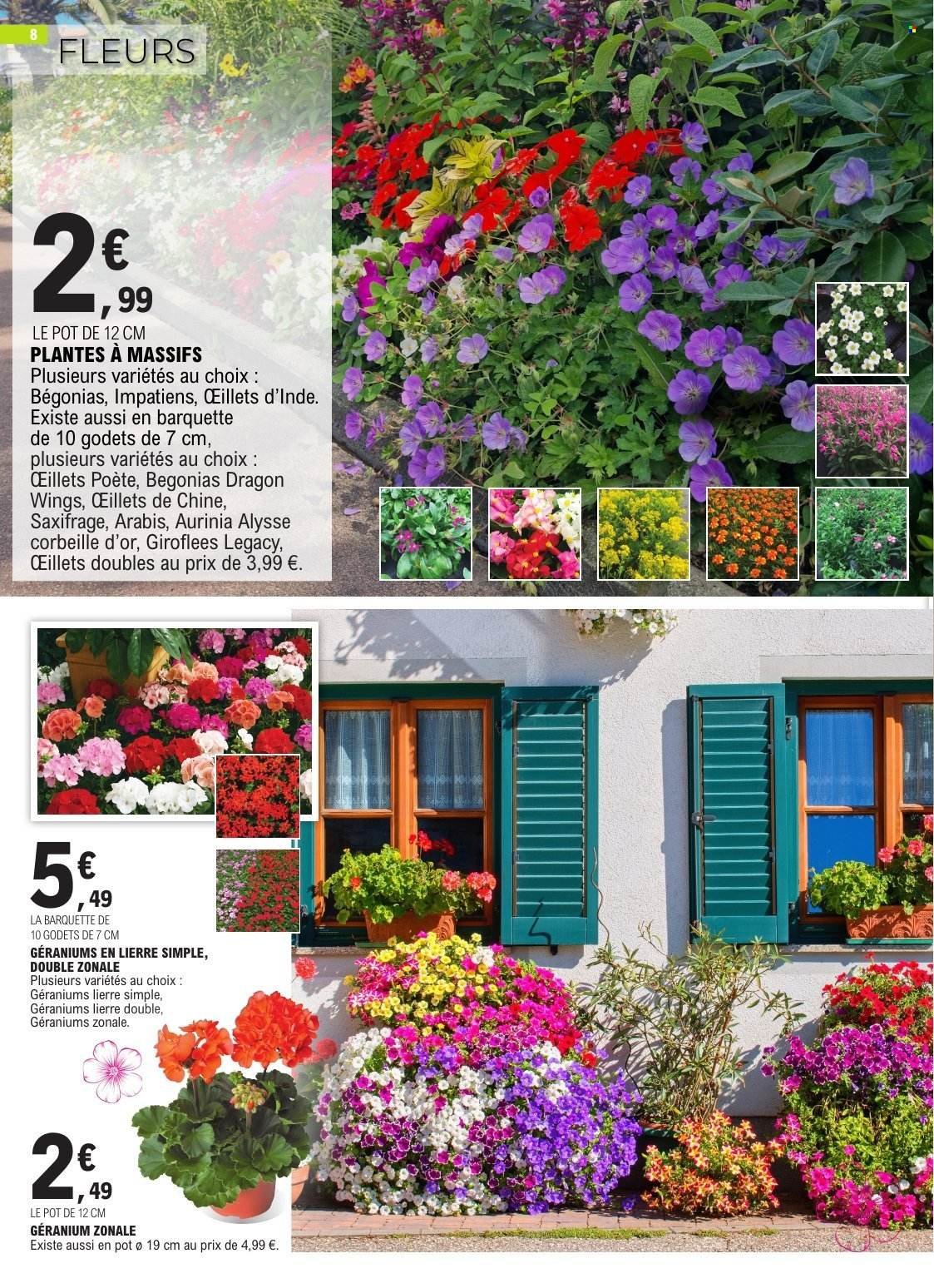 Catalogue E.LECLERC - PLANTATIONS PRINTEMPS GSA/GSS (2026-03-10 - 2026-03-21)
