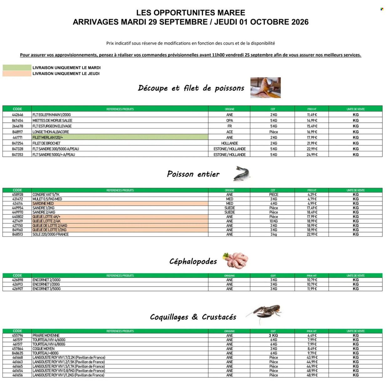 Catalogue PROMOCASH - Offre marée