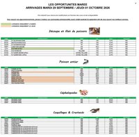 Catalogue PROMOCASH - Offre marée
