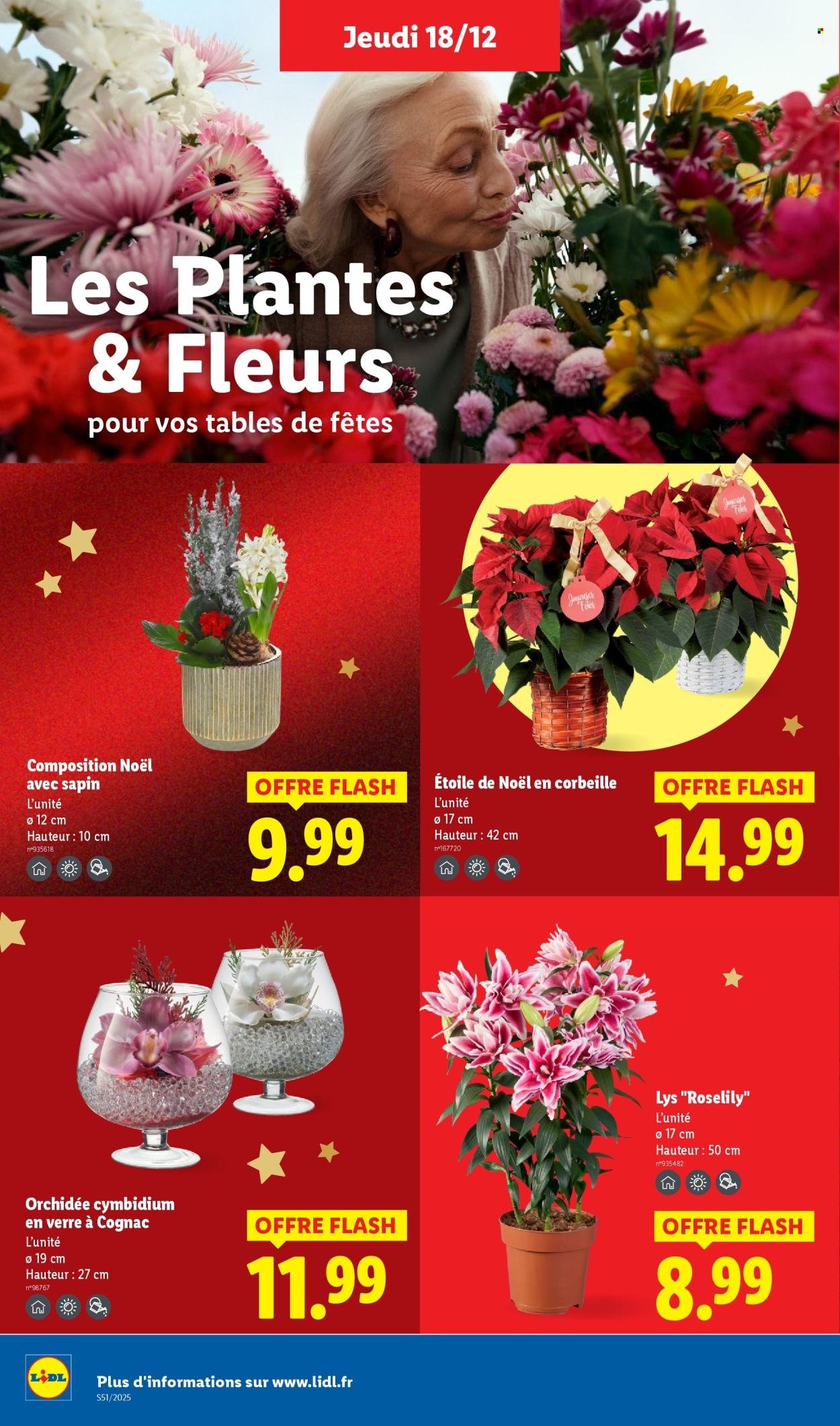 Catalogue LIDL - Les promos de la semaine (2025-12-18 - 2025-12-26)