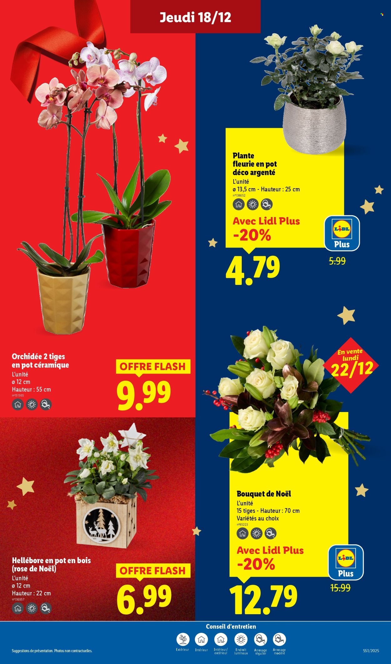 Catalogue LIDL - Les promos de la semaine (2025-12-18 - 2025-12-26)