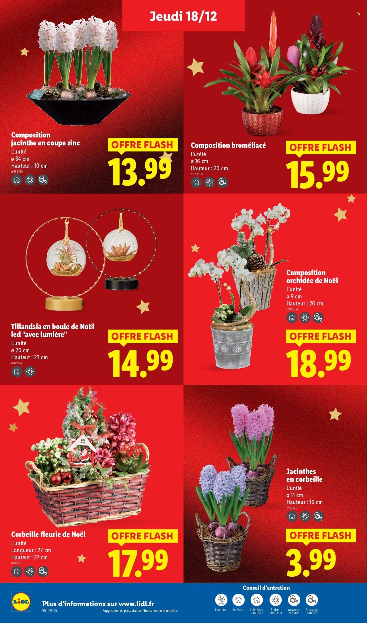 Catalogue LIDL - Les promos de la semaine (2025-12-18 - 2025-12-26)