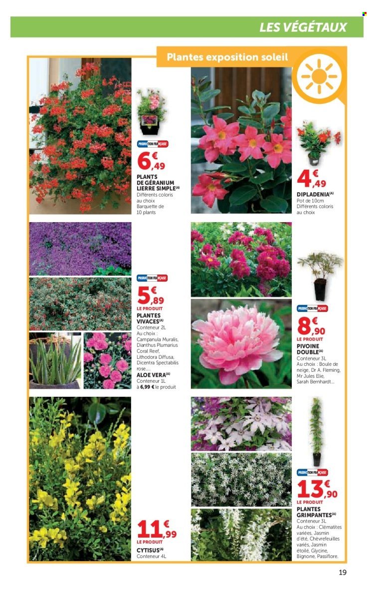 Catalogue SUPER U - Le plein air à prix bas (2026-03-24 - 2026-04-19)