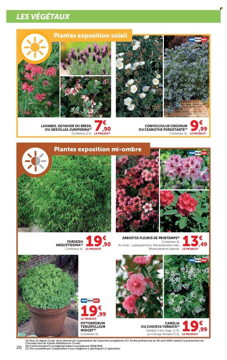 Catalogue SUPER U - Le plein air à prix bas (2026-03-24 - 2026-04-19)