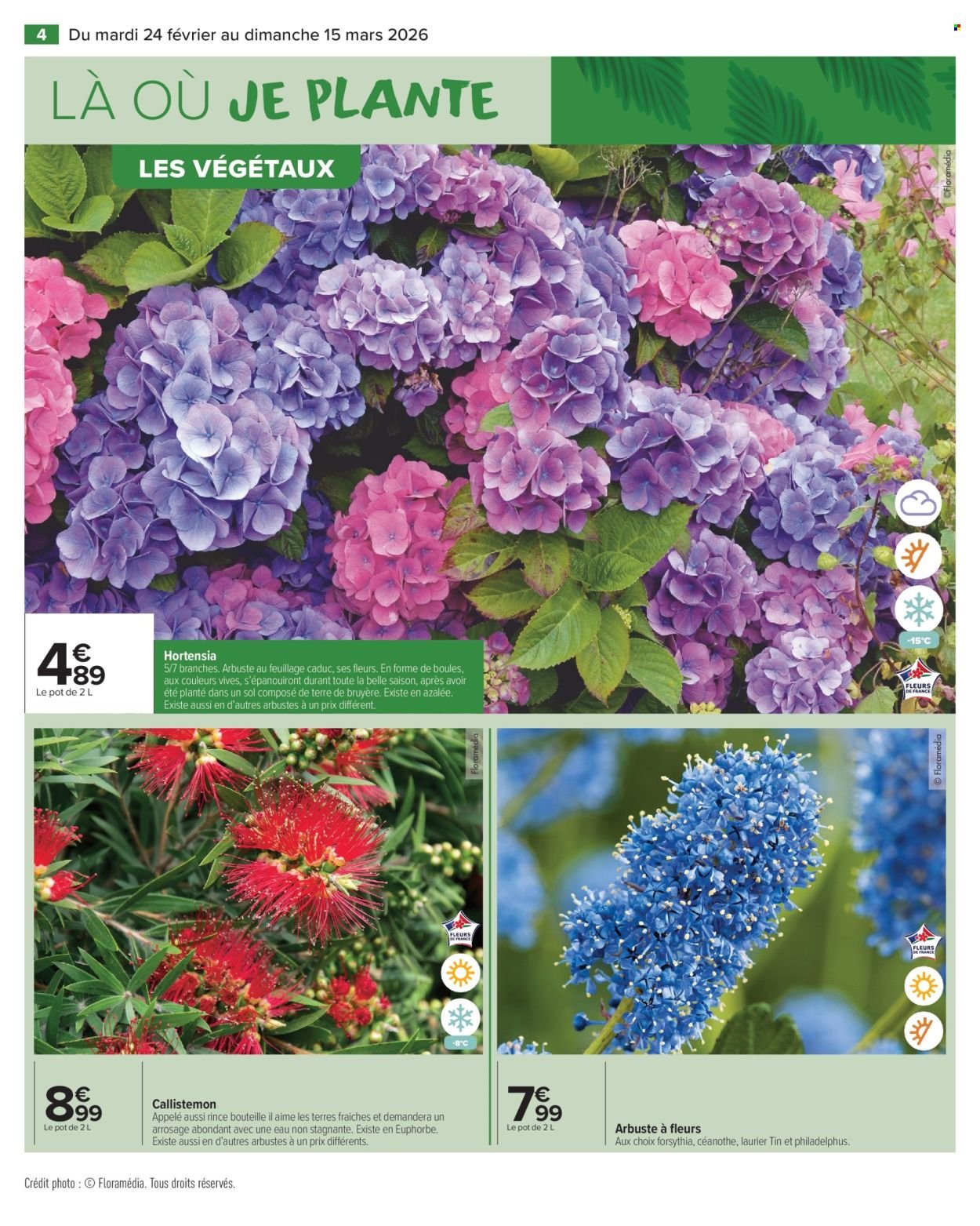 Catalogue CARREFOUR MARKET - JARDIN (2026-02-24 - 2026-03-15)