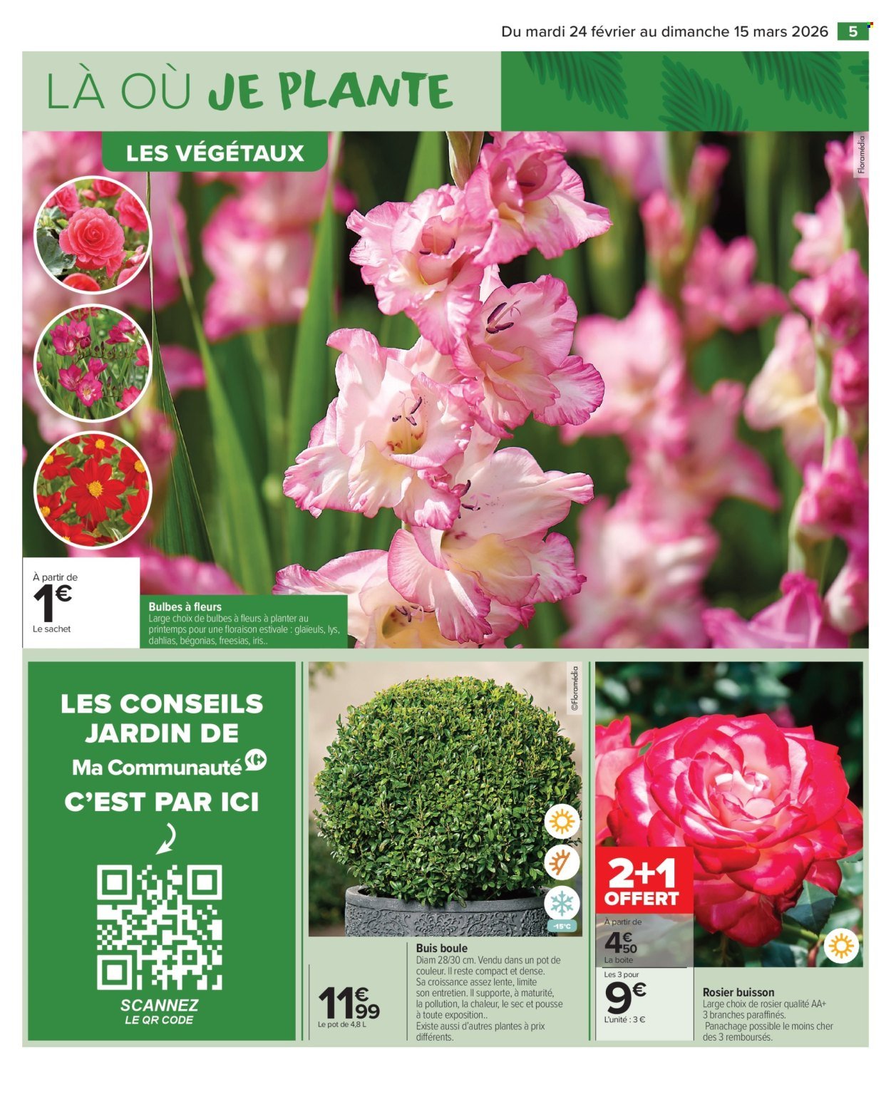 Catalogue CARREFOUR MARKET - JARDIN (2026-02-24 - 2026-03-15)