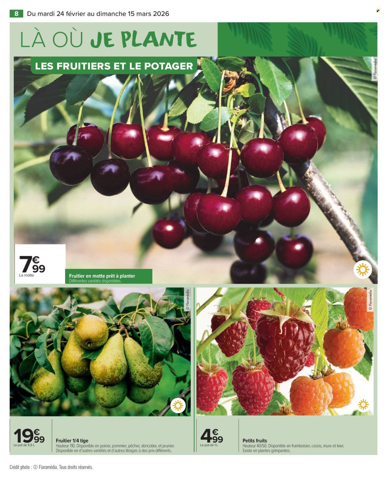 Catalogue CARREFOUR MARKET - JARDIN (2026-02-24 - 2026-03-15)