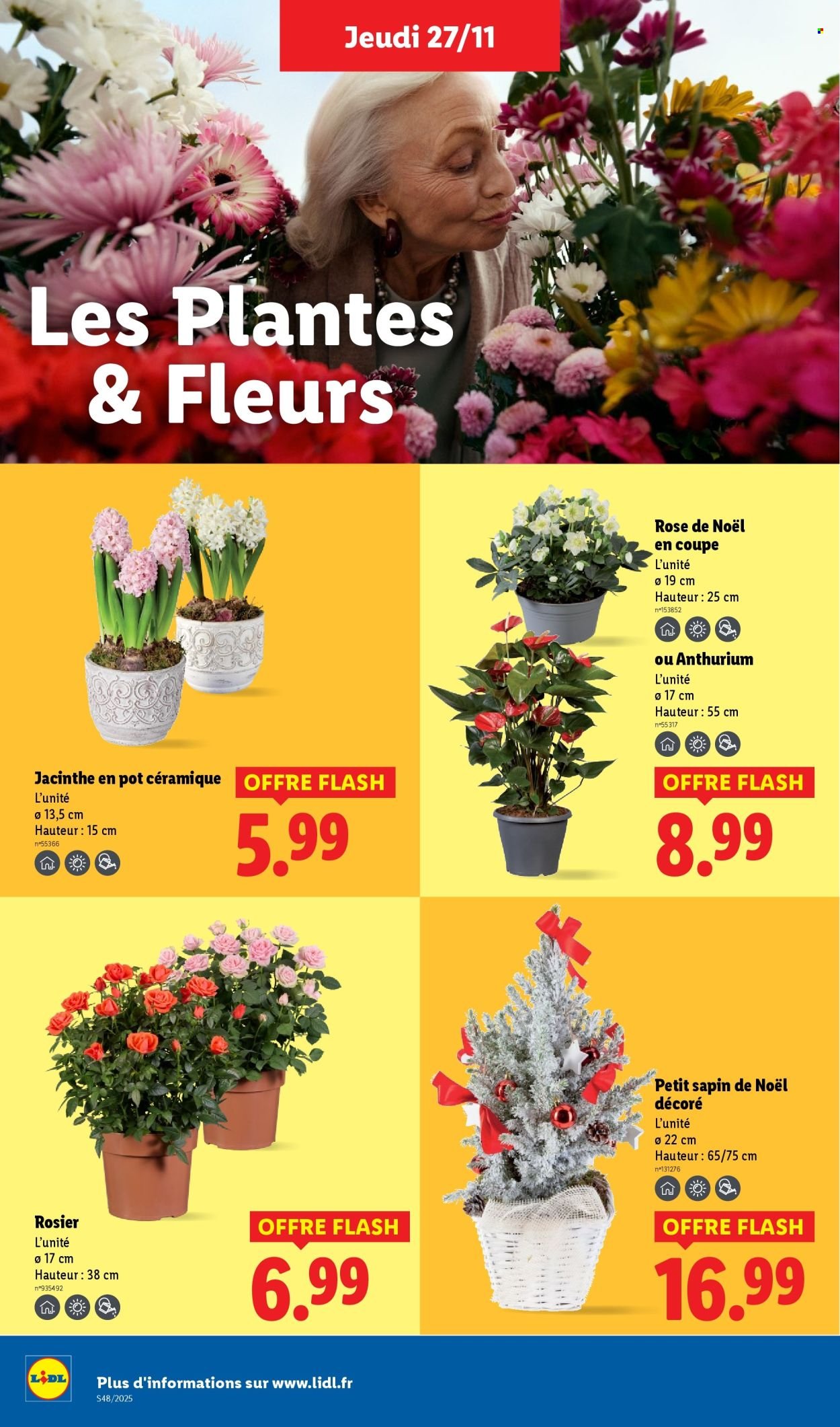 Catalogue LIDL - Les promos de la semaine