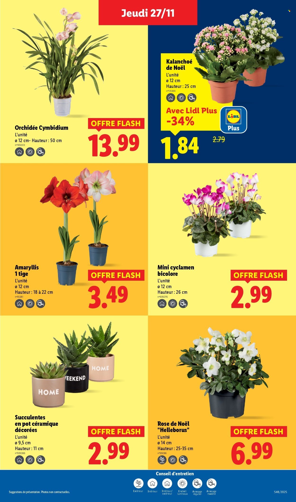 Catalogue LIDL - Les promos de la semaine