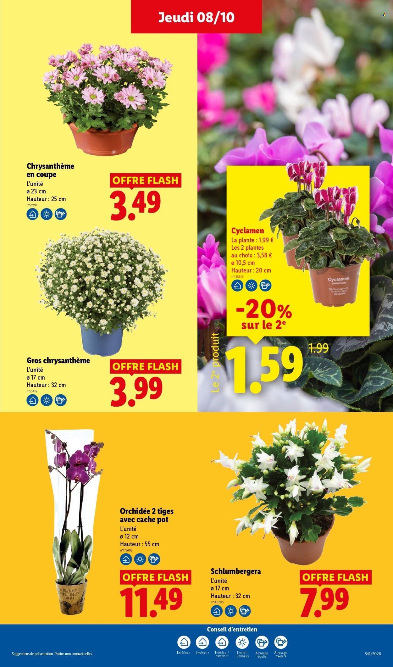 Catalogue LIDL - Les promos de la semaine