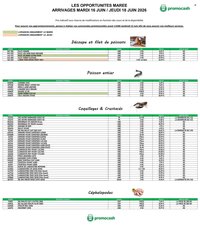 Catalogue PROMOCASH - Offre marée
