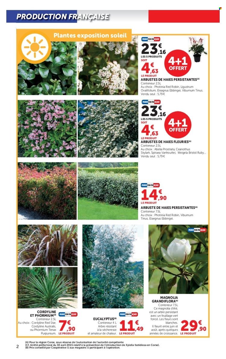 Catalogue SUPER U - Le jardin à prix bas