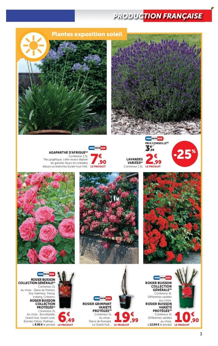 Catalogue SUPER U - Le jardin à prix bas