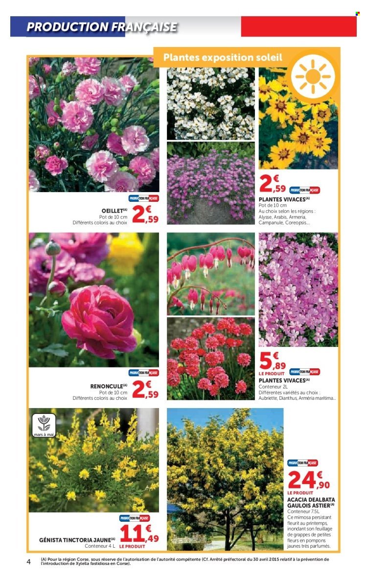 Catalogue SUPER U - Le jardin à prix bas