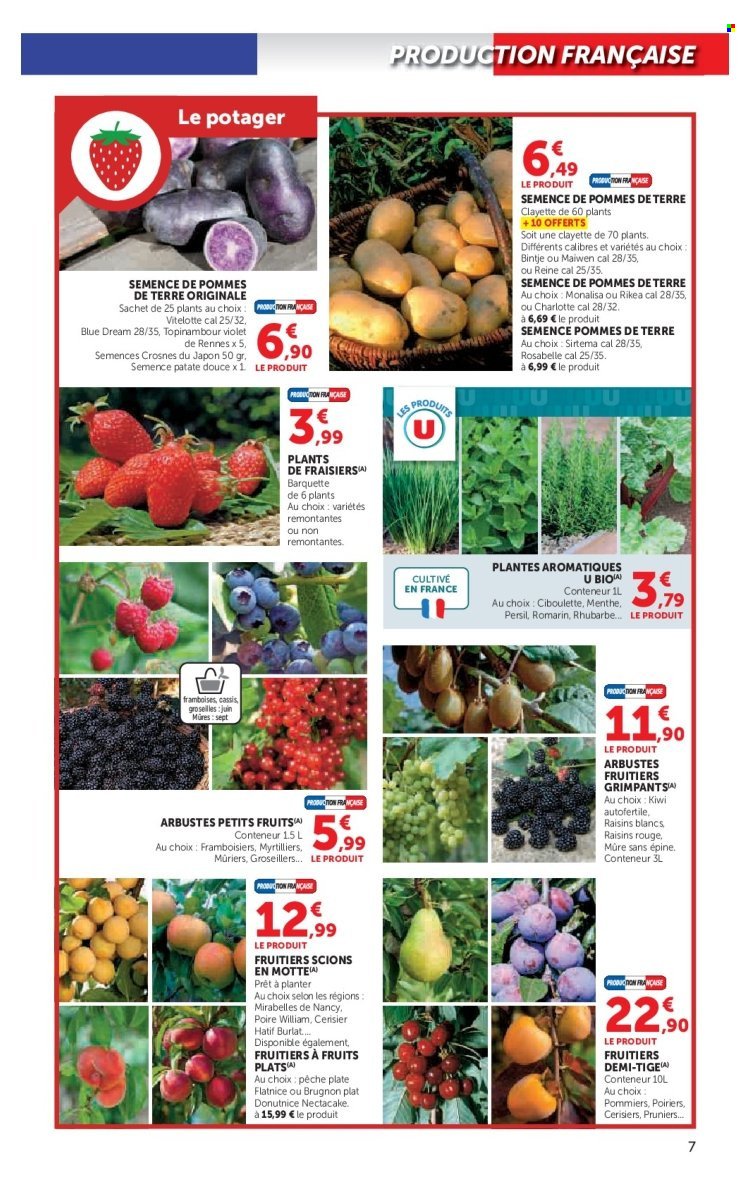 Catalogue SUPER U - Le jardin à prix bas