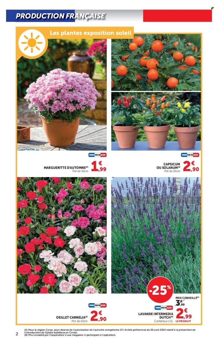 Catalogue HYPER U - Jardin d'automne à prix bas